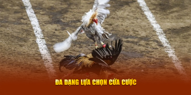 Đa dạng lựa chọn cửa cược